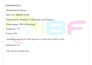 do professional ms word formatting and typing